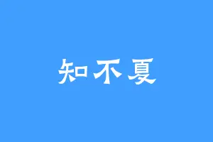 知不夏