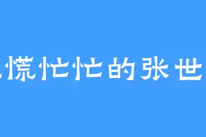 慌慌忙忙的张世豪