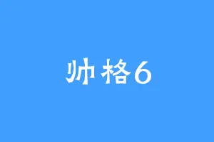 帅格6