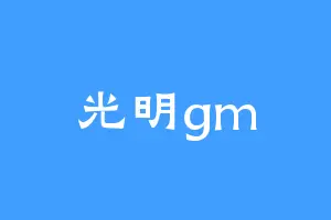 光明gm