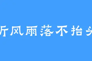 听风雨落不抬头